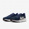 Dallas Cowboys Pegasus 41