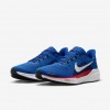 New York Giants Pegasus 41