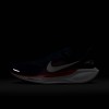 New England Patriots Pegasus 41