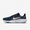 Penn State Pegasus 41