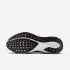 Pittsburgh Steelers Pegasus 41