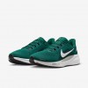 Philadelphia Eagles Pegasus 41