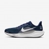 Dallas Cowboys Pegasus 41
