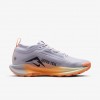 Nike Pegasus Trail 5 GORE-TEX