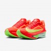 Nike Zoom Fly 6