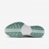 Nike Pegasus Plus