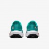 Miami Dolphins Pegasus 41