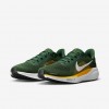 Green Bay Packers Pegasus 41