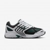 Nike Air Pegasus 2005