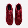 Arizona Cardinals Pegasus 41