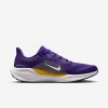 Minnesota Vikings Pegasus 41