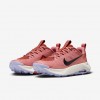Nike Wildhorse 10