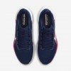 Arizona Pegasus 41