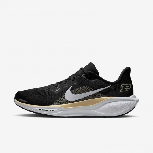 Purdue Pegasus 41