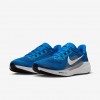 Detroit Lions Pegasus 41