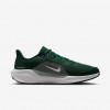 Michigan State Pegasus 41
