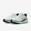 Nike Pegasus 41