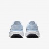 Nike Pegasus 41