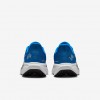 Detroit Lions Pegasus 41