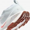 Nike Pegasus Trail 5 GORE-TEX