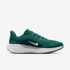 Philadelphia Eagles Pegasus 41