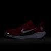 Oklahoma Pegasus 41