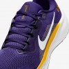 LSU Pegasus 41