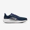 Dallas Cowboys Pegasus 41