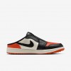 Air Jordan Mule
