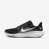 Las Vegas Raiders Pegasus 41