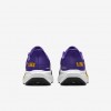 LSU Pegasus 41