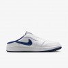 Air Jordan Mule