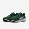 Michigan State Pegasus 41