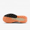 Nike Pegasus Trail 5 GORE-TEX