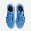 Tennessee Titans Pegasus 41
