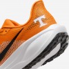 Tennessee Pegasus 41