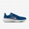 Indianapolis Colts Pegasus 41