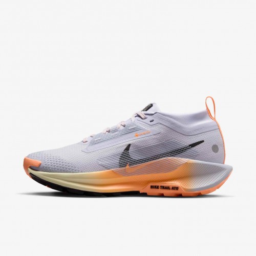Nike Pegasus Trail 5 GORE-TEX