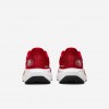 San Francisco 49ers Pegasus 41