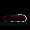 Nike Pegasus Premium