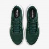 Michigan State Pegasus 41