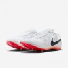 Nike Zoom Rival Multi