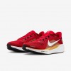 San Francisco 49ers Pegasus 41