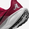 Alabama Pegasus 41