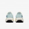 Nike Pegasus 41