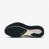 Nike Pegasus 41 GORE-TEX