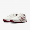 Nike Victory Pro 4