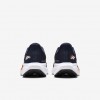 Denver Broncos Pegasus 41