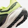 Nike Pegasus 41 GORE-TEX