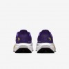 Minnesota Vikings Pegasus 41